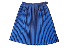 Skladaná sukňa s čiernou skladanou zásterou 4