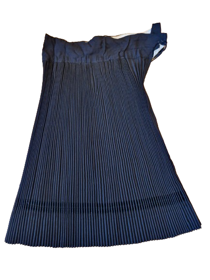 Plísovaná sukňa Pohorelá 2 - Váš dopyt: Chcem si požičať